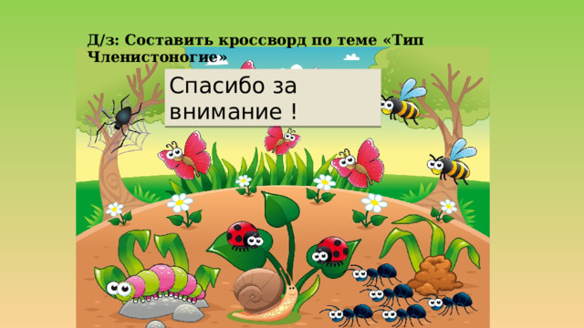 Почему рак-отшельник на раковину в которой живёт садит актинию (кишечно-полосные) Ответ Она защищает его стрекательными клетками  