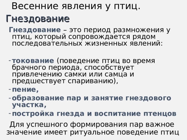 Весенние явления у птиц. Гнездование Гнездование  – это период размножения у птиц, который сопровождается рядом последовательных жизненных явлений: токование (поведение птиц во время брачного периода, способствует привлечению самки или самца и предшествует спариванию), пение,  образование пар и занятие гнездового участка, постройка гнезда и воспитание птенцов  Для успешного формирования пар важное значение имеет ритуальное поведение птиц 