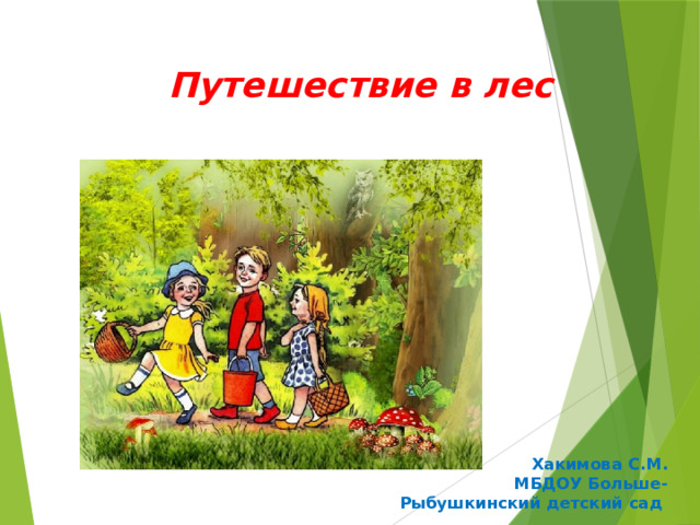 Путешествие в лес Хакимова С.М.  МБДОУ Больше-Рыбушкинский детский сад 