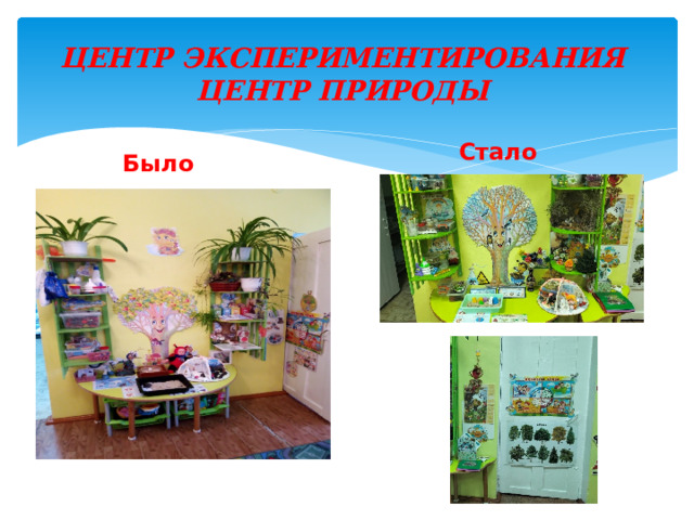 Центр экспериментирования  Центр природы Стало Было 