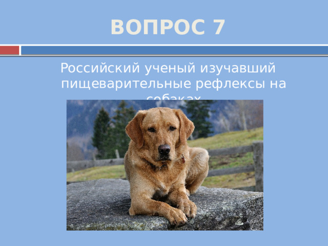 ВОПРОС 7 Российский ученый изучавший пищеварительные рефлексы на собаках 