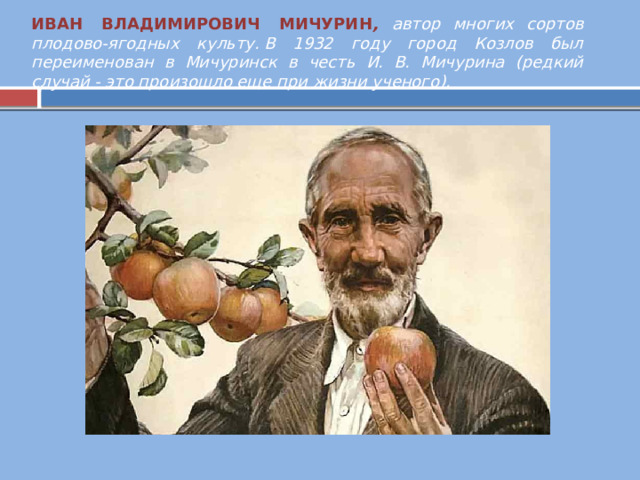 ИВАН  ВЛАДИМИРОВИЧ  МИЧУРИН , автор многих сортов плодово-ягодных культу. В 1932 году город Козлов был переименован в Мичуринск в честь И. В. Мичурина (редкий случай - это произошло еще при жизни ученого).  
