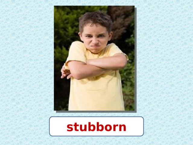 stubborn 