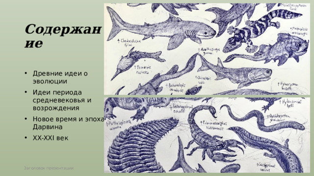 Содержание Древние идеи о эволюции Идеи периода средневековья и возрождения Новое время и эпоха Дарвина XX-XXI век Заголовок презентации 1 