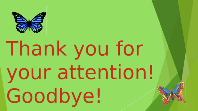 Thank you for your attention! Goodbye! 