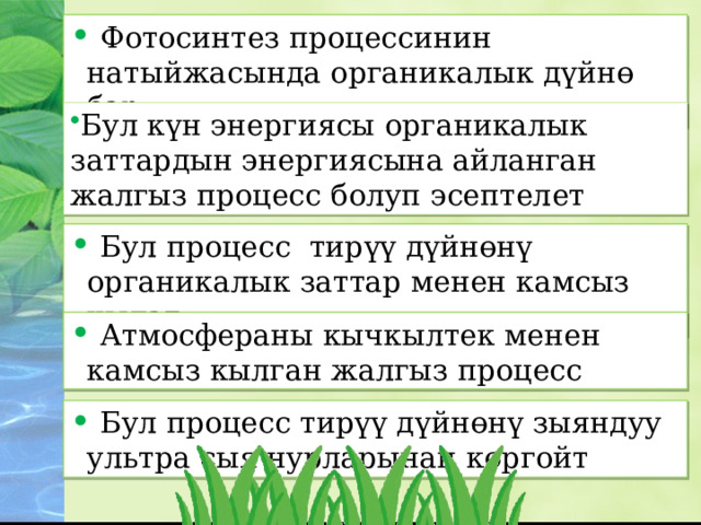  Фотосинтез процессинин натыйжасында органикалык дүйнө бар Бул күн энергиясы органикалык заттардын энергиясына айланган жалгыз процесс болуп эсептелет Бул күн энергиясы органикалык заттардын энергиясына айланган жалгыз процесс болуп эсептелет  Бул процесс тирүү дүйнөнү органикалык заттар менен камсыз кылат  Атмосфераны кычкылтек менен камсыз кылган жалгыз процесс  Бул процесс тирүү дүйнөнү зыяндуу ультра сыя нурларынан коргойт 
