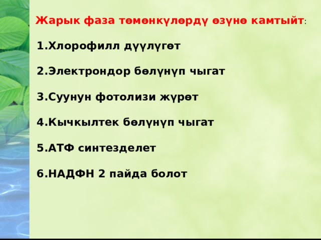 Жарык фаза төмөнкүлөрдү өзүнө камтыйт : 1.Хлорофилл дүүлүгөт  2.Электрондор бөлүнүп чыгат  3.Суунун фотолизи жүрөт  4.Кычкылтек бөлүнүп чыгат  5.АТФ синтезделет  6.НАДФН 2 пайда болот 