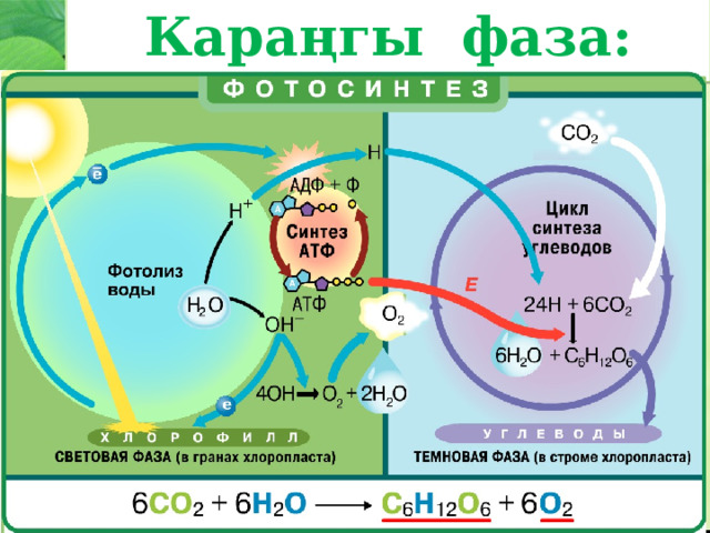 Караңгы фаза: 