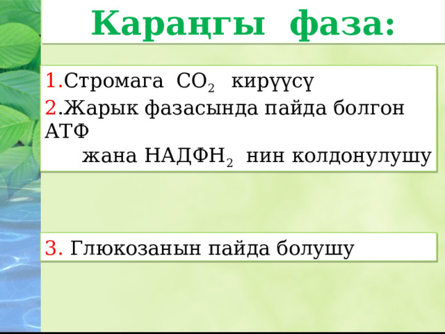 Караңгы фаза: 1. Стромага CO 2 кирүүсү 2 .Жарык фазасында пайда болгон АТФ  жана НАДФН 2 нин колдонулушу 3. Глюкозанын пайда болушу 