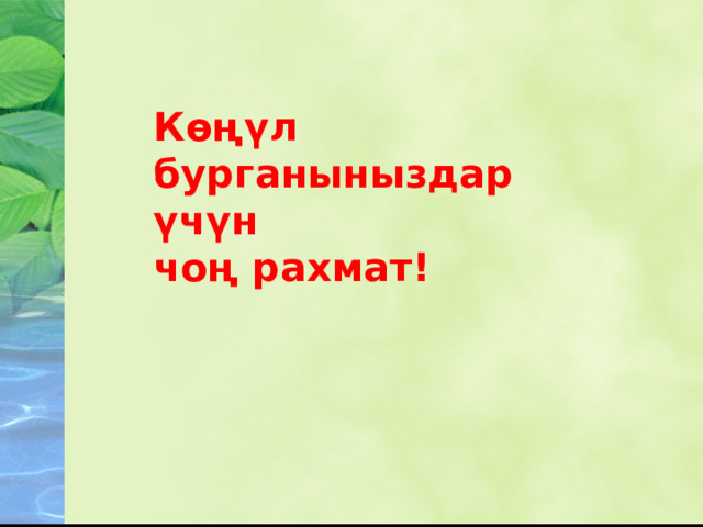 Көңүл бурганыныздар үчүн чоң рахмат! 
