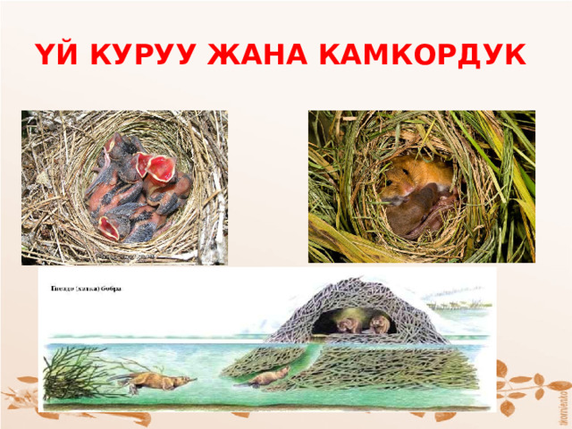 ҮЙ КУРУУ ЖАНА КАМКОРДУК 