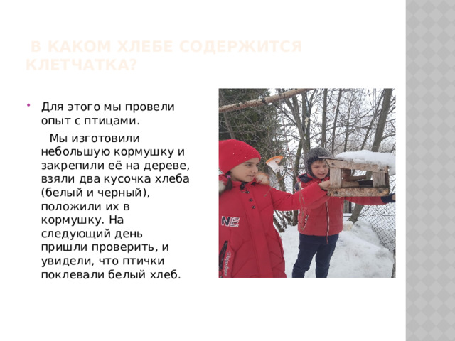  В каком хлебе содержится клетчатка? Для этого мы провели опыт с птицами.  Мы изготовили небольшую кормушку и закрепили её на дереве, взяли два кусочка хлеба (белый и черный), положили их в кормушку. На следующий день пришли проверить, и увидели, что птички поклевали белый хлеб. 