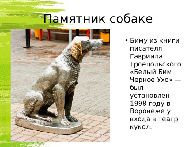 Памятник собаке Биму из книги писателя Гавриила Троепольского «Белый Бим Черное Ухо» — был установлен 1998 году в Воронеже у входа в театр кукол. 