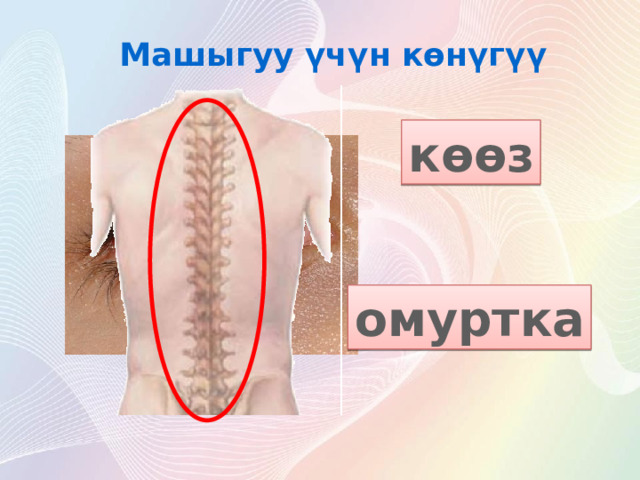 Машыгуу үчүн көнүгүү көөз омуртка 