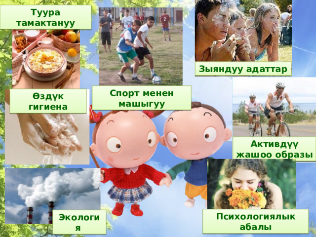 Туура тамактануу Зыяндуу адаттар Спорт менен машыгуу Өздүк гигиена Активдүү жашоо образы Психологиялык абалы Экология 
