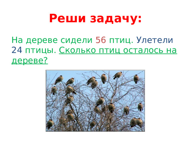 Реши задачу: На дереве сидели 56 птиц. Улетели 24 птицы. Сколько птиц осталось на дереве? 