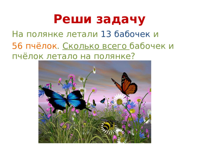 Реши задачу На полянке летали 13 бабочек и 56 пчёлок . Сколько всего бабочек и пчёлок летало на полянке? 