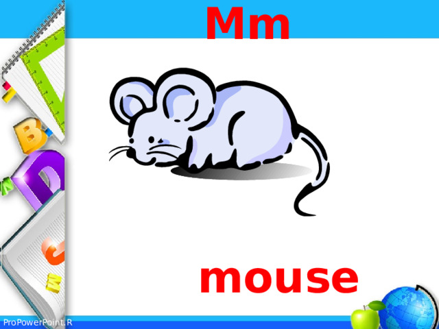 Mm   mouse 