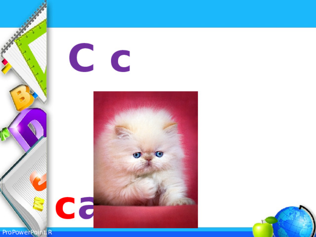  C c  c at  