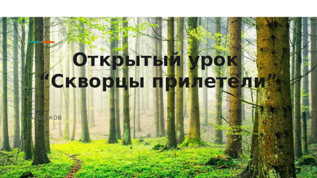 Открытый урок  “Скворцы прилетели” А.Барков 