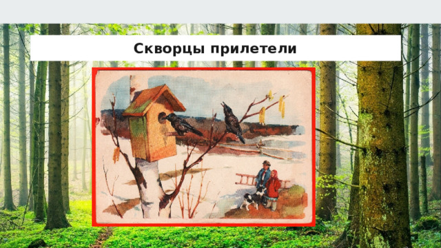 Скворцы прилетели 