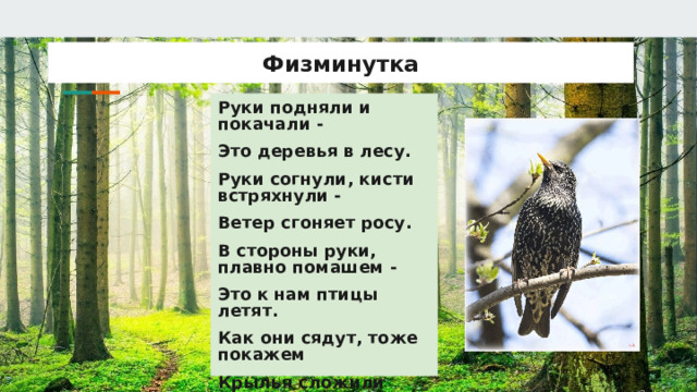Физминутка Руки подняли и покачали - Это деревья в лесу. Руки согнули, кисти встряхнули - Ветер сгоняет росу. В стороны руки, плавно помашем - Это к нам птицы летят. Как они сядут, тоже покажем Крылья сложили назад. 