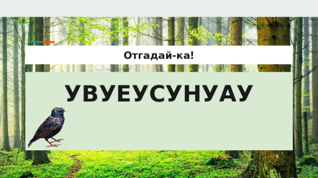 Отгадай-ка! УВУЕУСУНУАУ 
