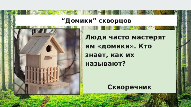 “ Домики” скворцов Люди часто мастерят им «домики». Кто знает, как их называют?  Скворечник  