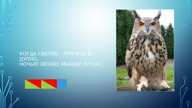 Когда светло – прячусь в дупло,  ночью летаю, мышей пугаю. 