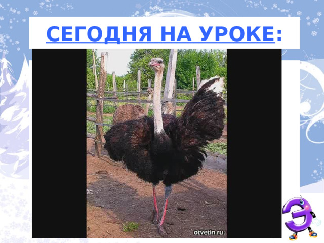 СЕГОДНЯ НА УРОКЕ : ПОЗНАКОМИМСЯ …  НАУЧИМСЯ…  (выделять звук…, читать…, различать…   Опираясь на тему и опорные слова сформулируем задачи урока 3 