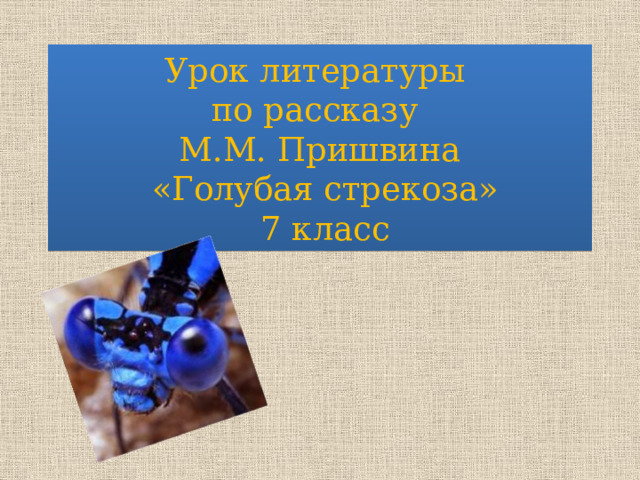 Урок литературы  по рассказу  М.М. Пришвина  «Голубая стрекоза»  7 класс 