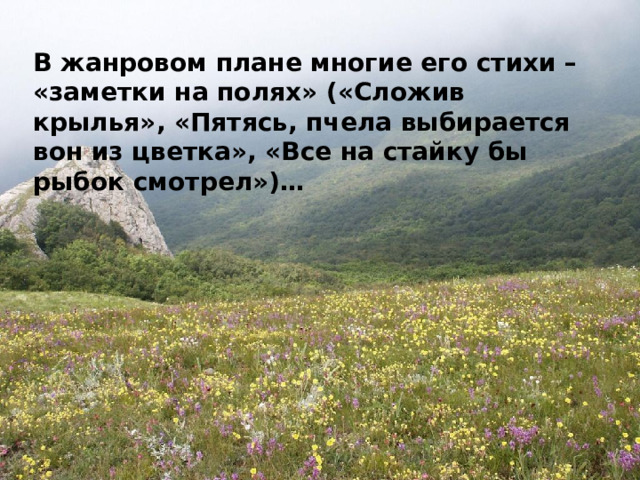 В жанровом плане многие его стихи – «заметки на полях» («Сложив крылья», «Пятясь, пчела выбирается вон из цветка», «Все на стайку бы рыбок смотрел»)… 