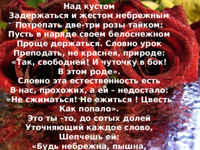 Над кустом Задержаться и жестом небрежным Потрепать две-три розы тайком: Пусть в наряде своем белоснежном Проще держаться. Словно урок Преподать, не краснея, природе: «Так, свободней! И чуточку в бок! В этом роде». Словно эта естественность есть В нас, прохожих, а ей – недостало: «Не сжиматься! Не ежиться ! Цвесть Как попало». Это ты –то, до сотых долей Уточняющий каждое слово, Шепчешь ей: «Будь небрежна, пышна, бестолкова!»  