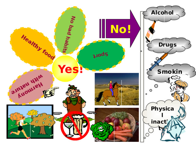Healthy food  Harmony with nature Sport No bad habits Alcohol No! Drugs  Yes! Smoking Physical inactivity 