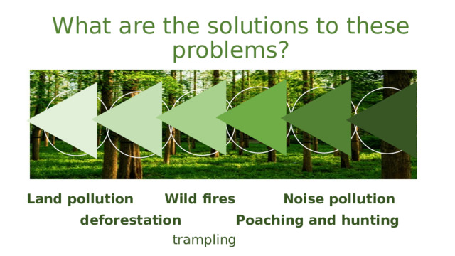 What are the solutions to these problems? Wild fires Land pollution Noise pollution deforestation Poaching and hunting trampling 