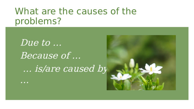 What are the causes of the problems? Due to … Because of … … is/are caused by … 