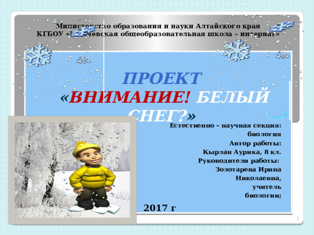 Министерство образования и науки Алтайского края  КГБОУ «Ключевская общеобразовательная школа – интернат»    Проект  « Внимание!  Белый снег? »   Естественно – научная секция: биология  Автор работы: Кырлан Аурика, 8 кл.  Руководители работы:  Золотарева Ирина Николаевна,  учитель биологии; 2017 г  