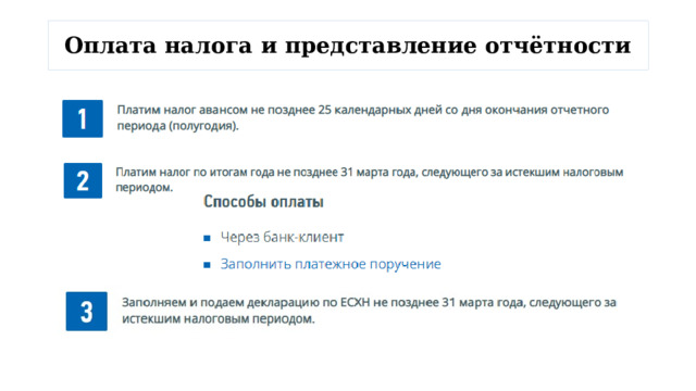 Оплата налога и представление отчётности 
