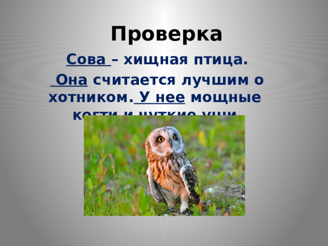 Проверка  Сова  – хищная птица.   Она  считается лучшим охотником.  У нее  мощные когти и чуткие уши.  