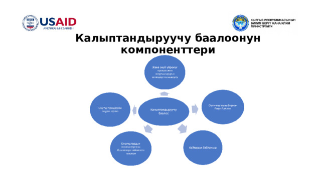 Калыптандыруучу баалоонун компоненттери 
