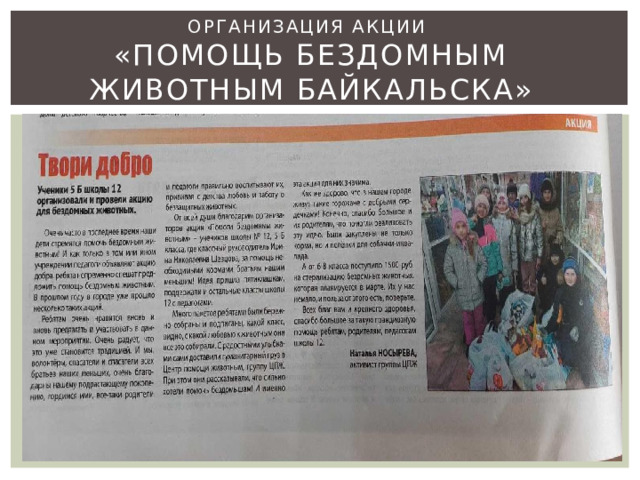 Организация акции  «Помощь бездомным животным Байкальска» 
