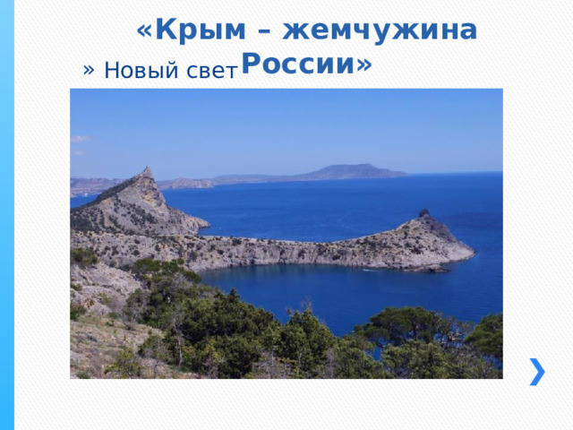 «Крым – жемчужина России» Новый свет 