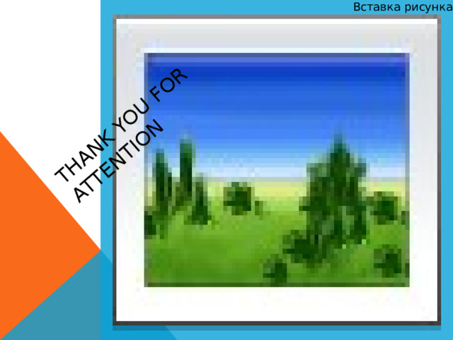 Вставка рисунка  thank you for attention 