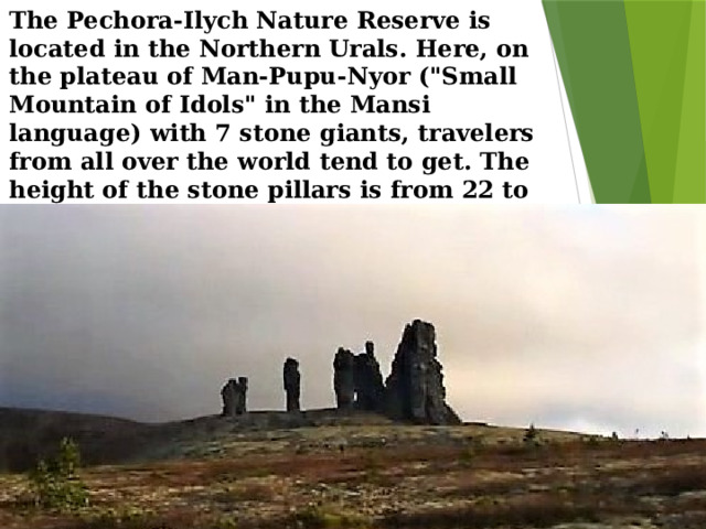 The Pechora-Ilych Nature Reserve is located in the Northern Urals. Here, on the plateau of Man-Pupu-Nyor (