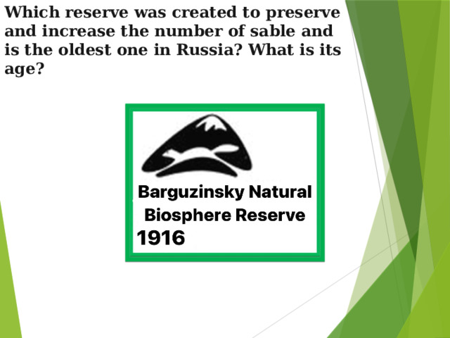 Which reserve was created to preserve and increase the number of sable and is the oldest one in Russia? What is its age?   