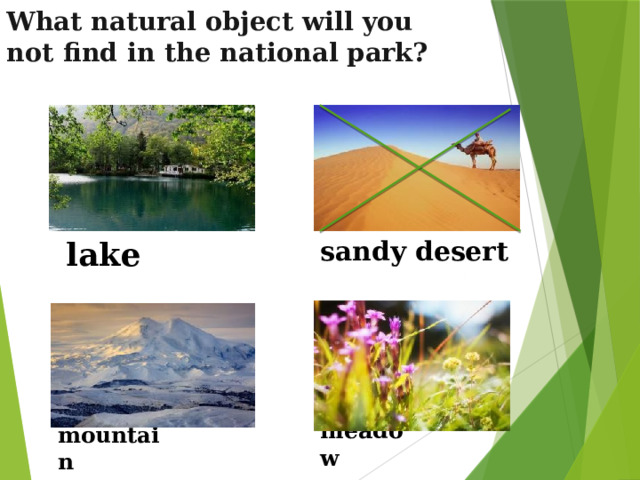 What natural object will you not find in the national park? lake sandy desert   meadow mountain  