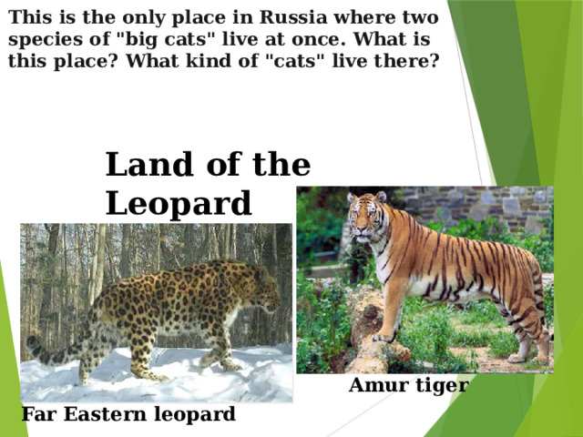 This is the only place in Russia where two species of 