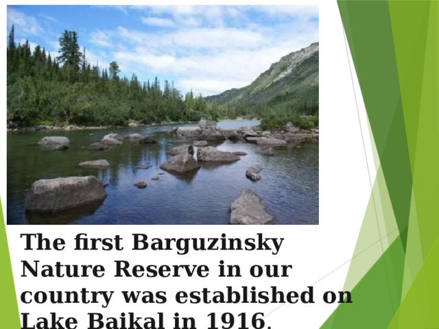 The first Barguzinsky Nature Reserve in our country was established on Lake Baikal in 1916 . 