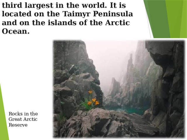 The Great Arctic is the largest nature reserve in Russia and the third largest in the world. It is located on the Taimyr Peninsula and on the islands of the Arctic Ocean. Rocks in the Great Arctic Reserve 