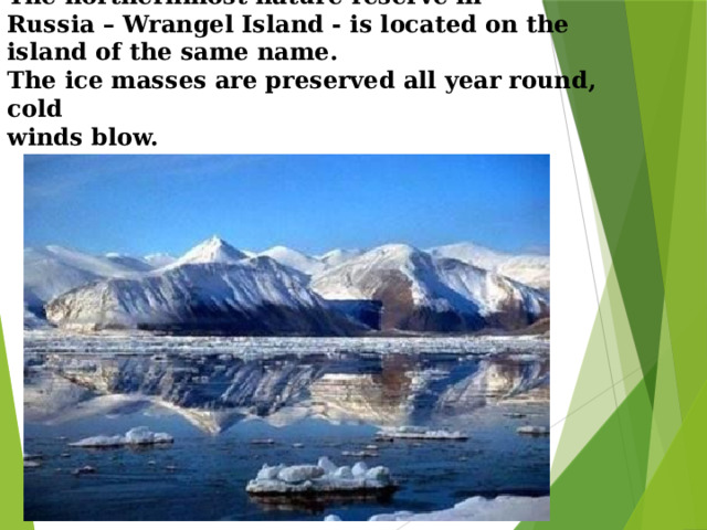 The northernmost nature reserve in  Russia – Wrangel Island - is located on the island of the same name.  The ice masses are preserved all year round, cold  winds blow.    